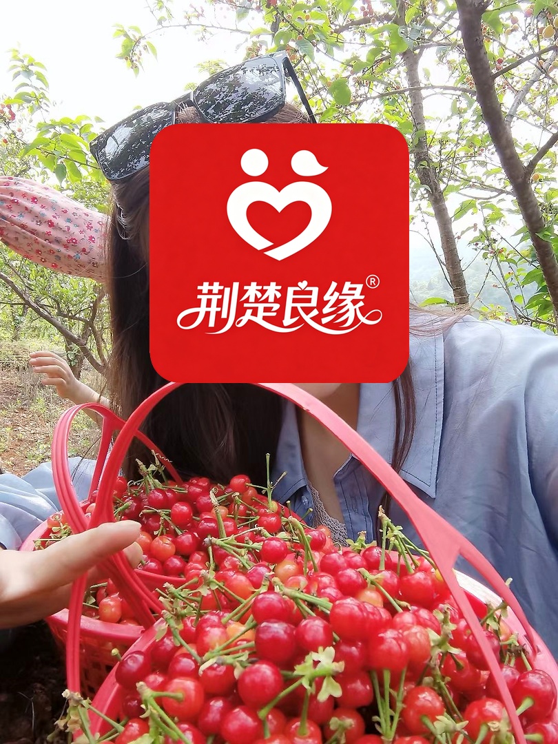 赵雅诚意的照片