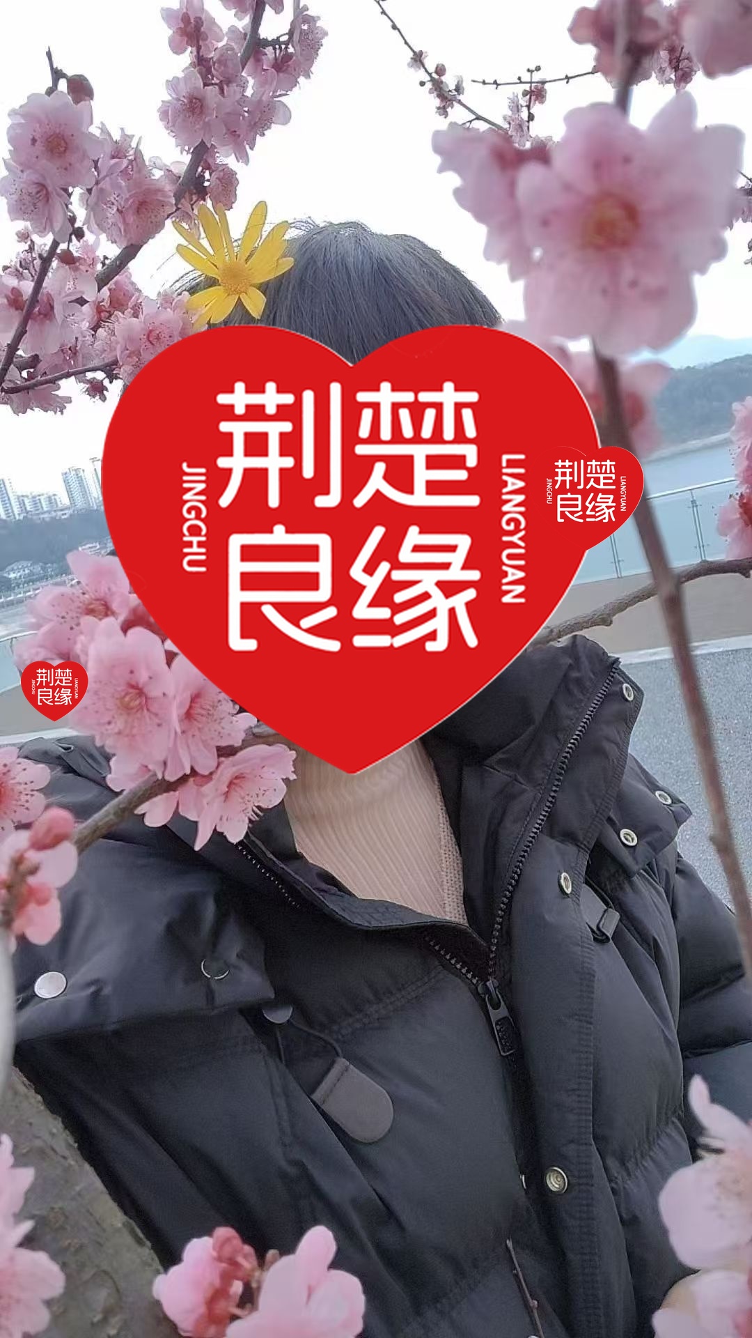 汪红寻婚的照片