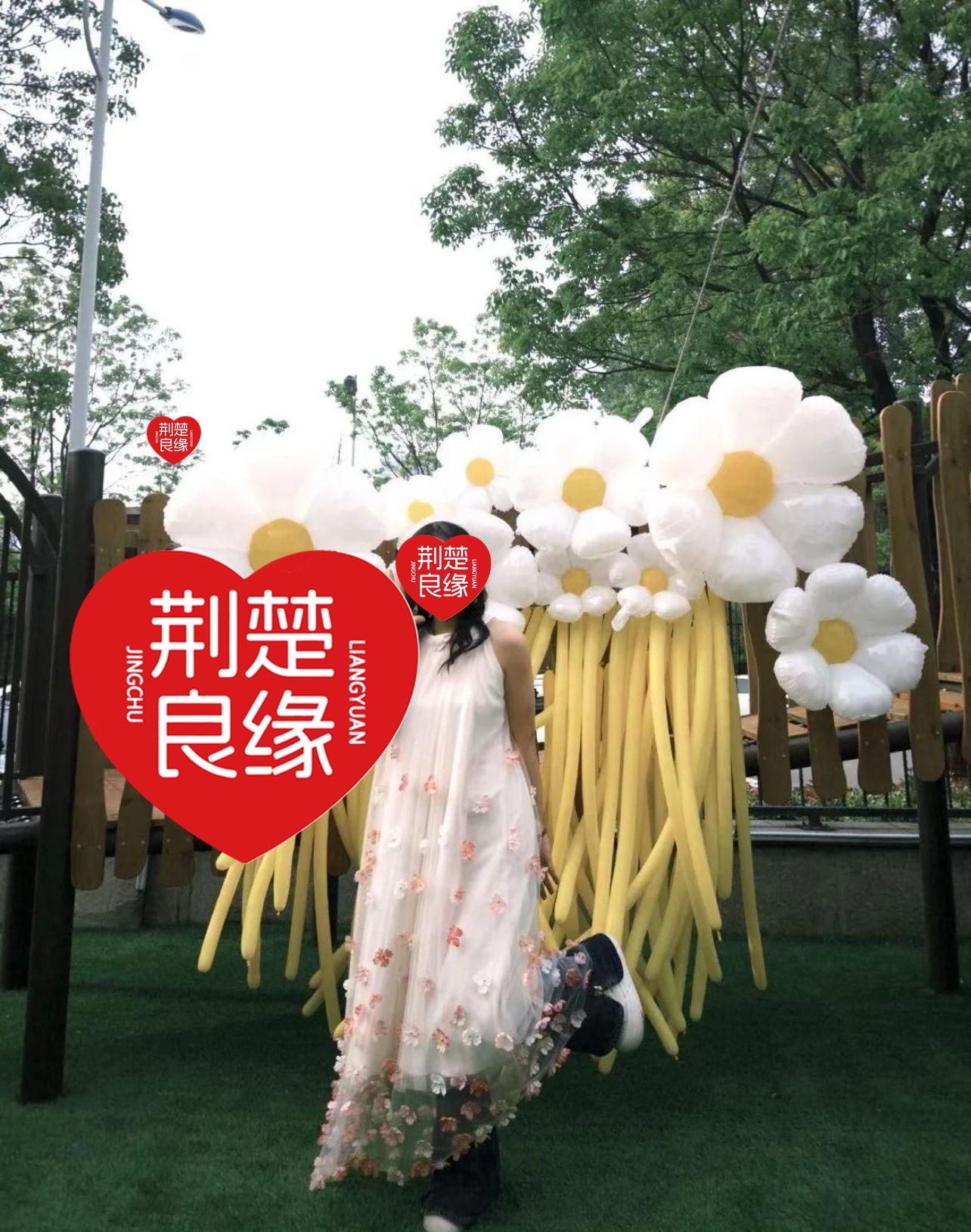 蓬舒云的照片
