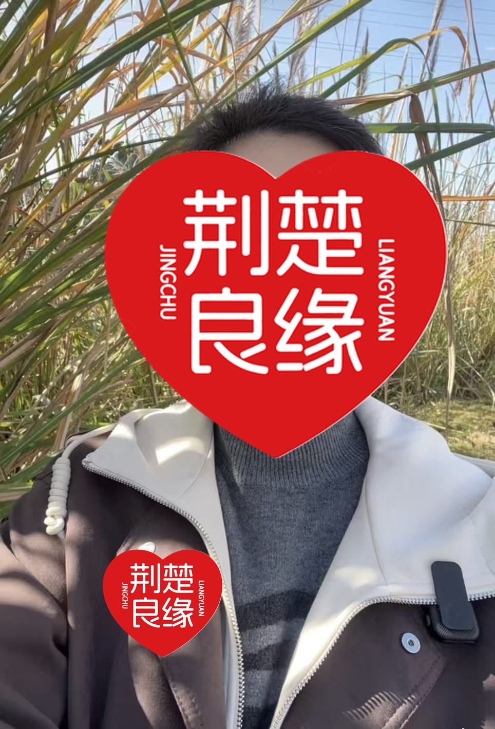 王兰北方的照片
