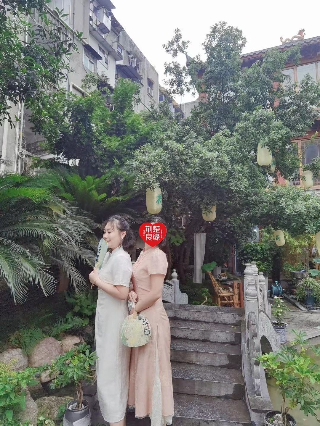 王凤店寻的照片