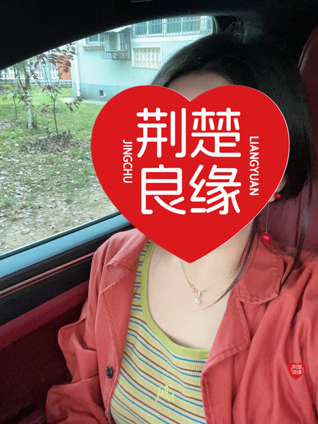 荆杉林的照片