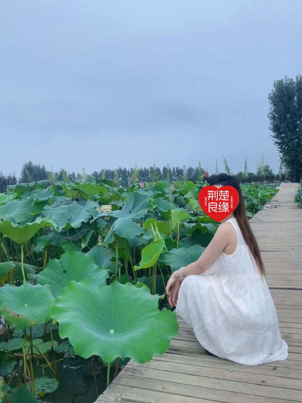 狄红真诚找的照片