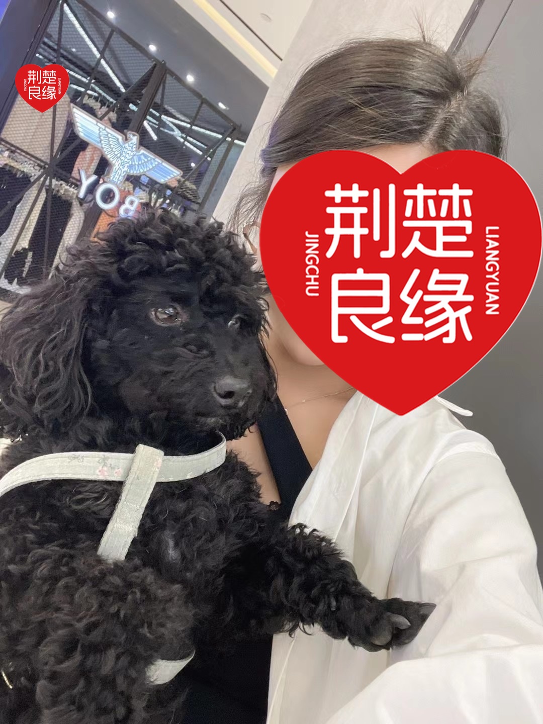 尹媛慧的照片
