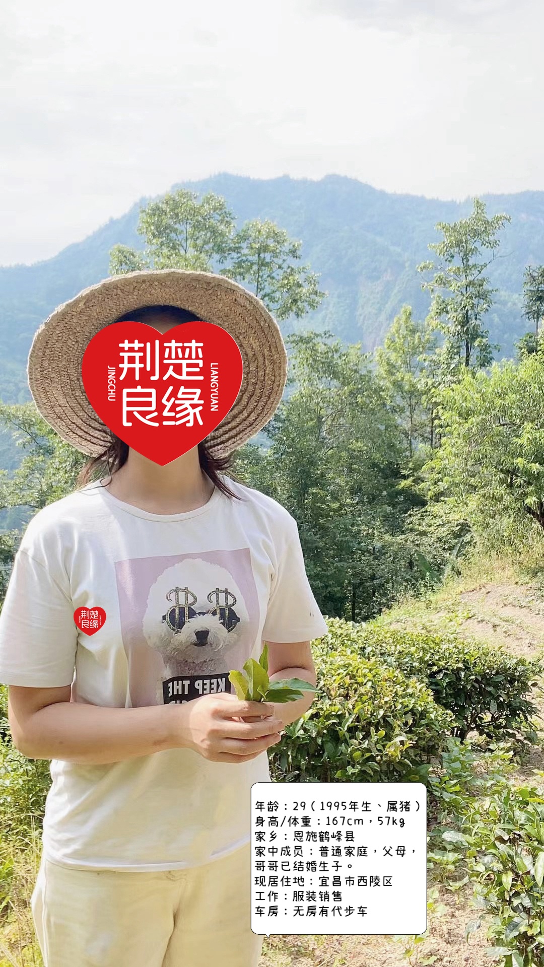 吴珍城区的照片